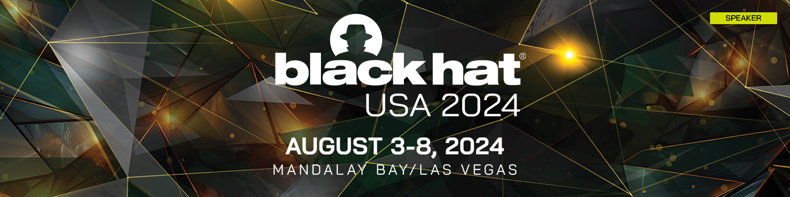 Black Hat 2024 banner