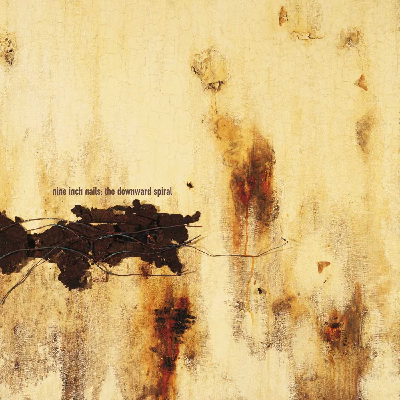 NiN